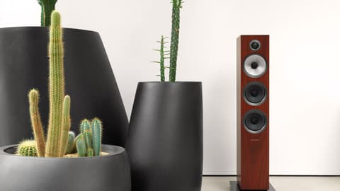 Tres macetas de color negro, una mas grande que la otra, con cactus al lado de un altavoz